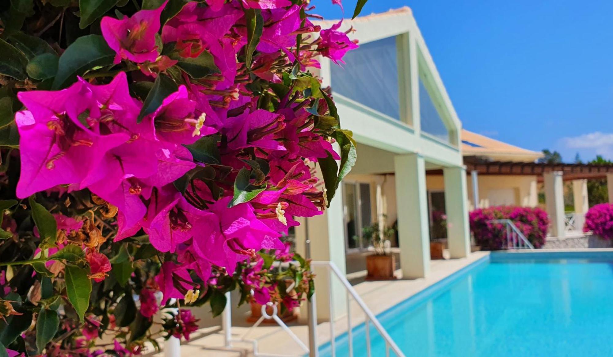 Aparthotel Quinta Das Flores